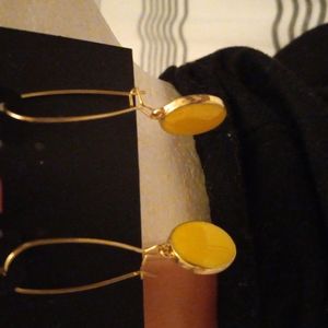 Oval earrings